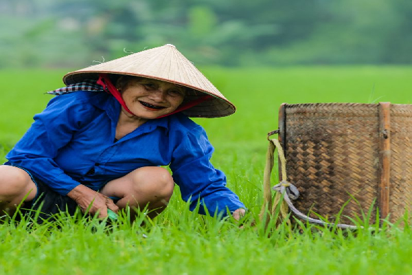 3D 2N Pu Luong Featured Tour: Serenity and Discovery Amidst Nature - photo 24